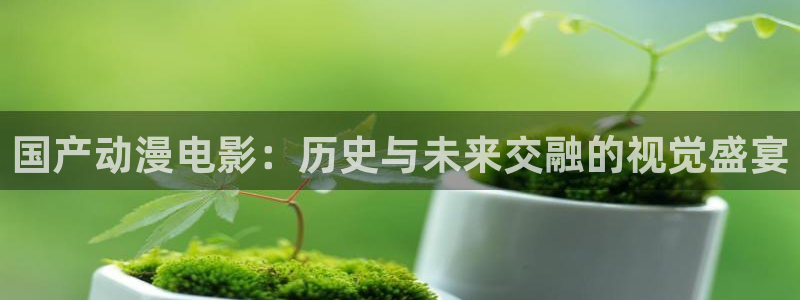 政宗君的复仇动漫岛