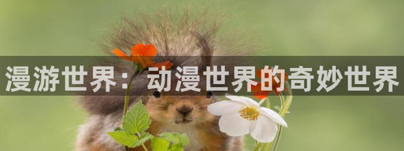 动漫岛下载免费版