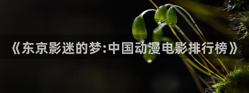 动漫岛下载安装