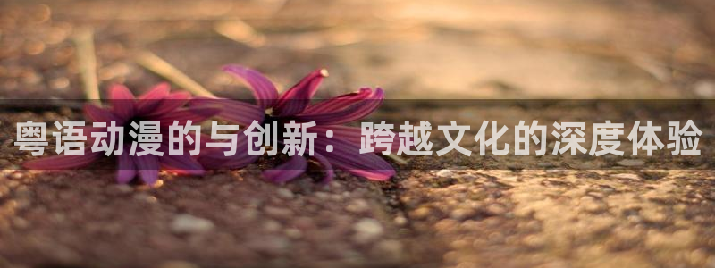 动漫岛动漫官网入口