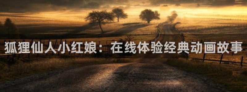 动漫岛官网入口